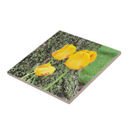 3黄色のチューリップ/ タイル