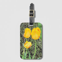 3黄色のチューリップ/