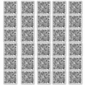 30ビジネスQRコードカスタムカットビニールシール シール (正面)