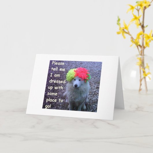 「30日」祝に行くために着飾った犬 カード (黄色い花)