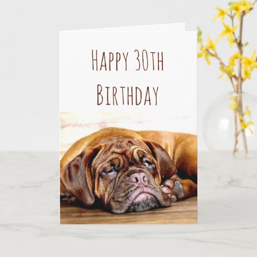 30歳の誕生日を迎える悲しい犬が、パワシティブ・ユーモアを交えて過ごす カード (黄色い花)