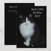 30歳の誕生日会 黒と白の猫 招待状 (正面/裏面)