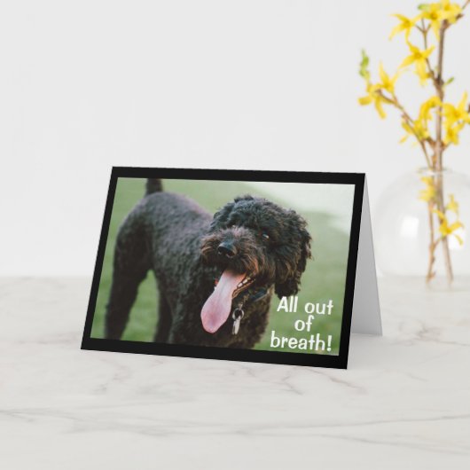 **30歳祝の誕生日** カード (黄色い花)