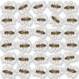 30等身大のミツバチのハチミツびんのふたシール シール