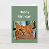 30誕生日のおもしろいエイジ猫 カード (正面)