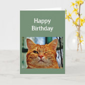 30誕生日のおもしろいエイジ猫 カード (黄色い花)