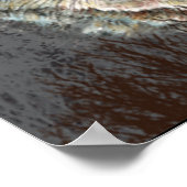 30誕生日バナーパックウルフおもしろいのリーダー ポスター (角)