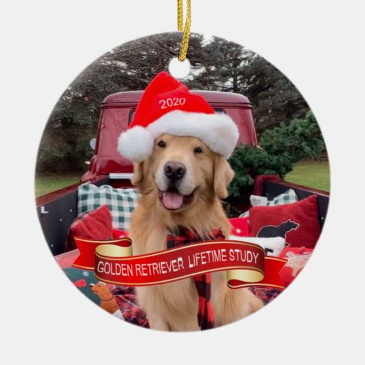 3000strong 2020セラミックラウンドオーナメント セラミックオーナメント (正面)