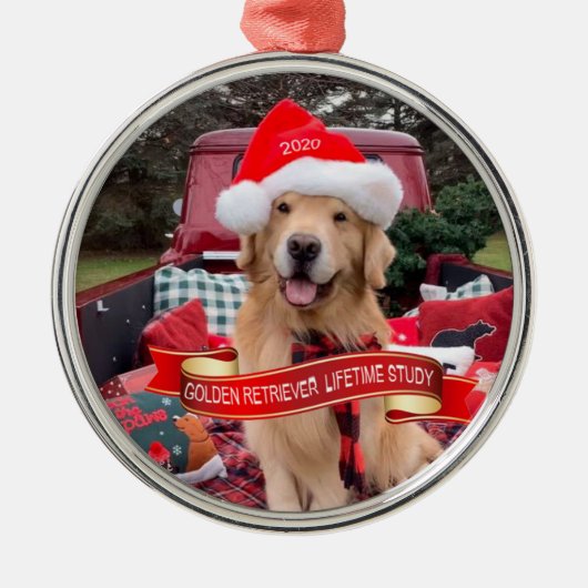 3000strong 2020ラウンドペーターオーナメント メタルオーナメント (正面)