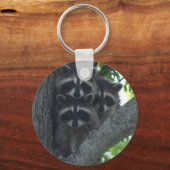 300.アミゴス キーホルダー (正面)