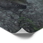 300.アミゴス ポスター (角)