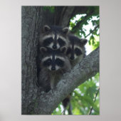 300.アミゴス ポスター (正面)