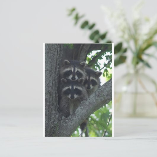 300.アミゴス ポストカード (スタンド正面)