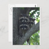 300.アミゴス ポストカード (正面/裏面)