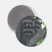 300.アミゴス マグネット (正面/裏面)