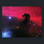 300.騎馬星雲 ポスター<br><div class="desc">上空で最も識別可能な星雲の一つ、オリオンの馬頭星雲は、大きく暗い分子雲の一部である。バーナード33とも呼ばれ、1800年代後半に写真プレートで初めて珍しい形が発見された。赤いグローは、主に星雲の背後にある水素ガスから発生し、近くの明るい星のシグマ・オリオニスによってイオン化される。NGC 2023と呼ばれる青い反射の星雲が下の明るい星を囲ん離れだ。馬の頭の暗闇は主に厚い塵によって引き起こされるが、馬の頭の首の下部は影を投げ離れる。ガスの流離れれ星雲は強い磁場で支えられている。馬頭星雲の基地の明るい点は、形成の過程で若い星である。光は約1500年の間にホースヘッド星雲から我々に到達する。上記の画像は、米国アリゾナ州のレンモン山スカイセンターで0.6メートルの望遠鏡で撮影された。</div>