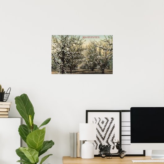 300,000本の木々のプルーンオーチャードの表示 ポスター (ホームオフィス)