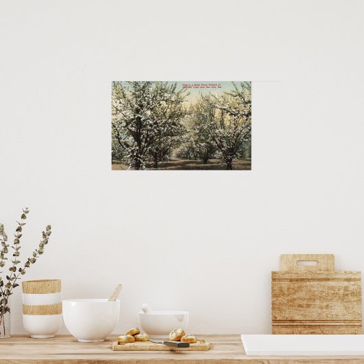 300,000本の木々のプルーンオーチャードの表示 ポスター (キッチン)
