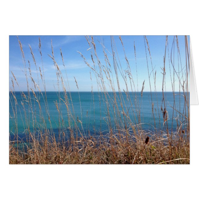 301.美しい草と海 (正面横)