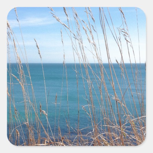 301.美しい草と海 スクエアシール (正面)