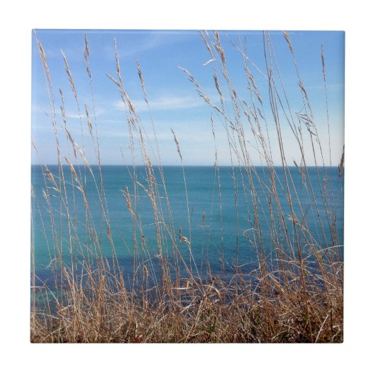 301.美しい草と海 タイル (正面)