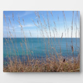 301.美しい草と海 フォトプラーク (正面)