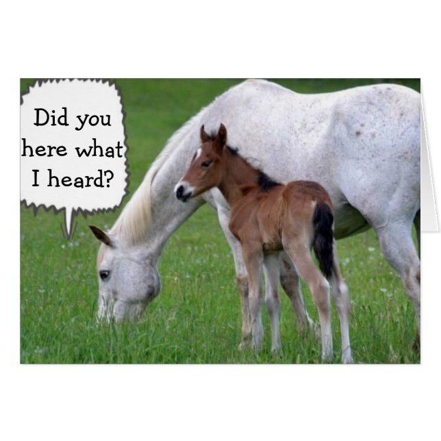 「30」になれないとポニーとウマは言う (正面横)