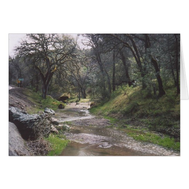 30. カリフォルニア流れ (正面横)