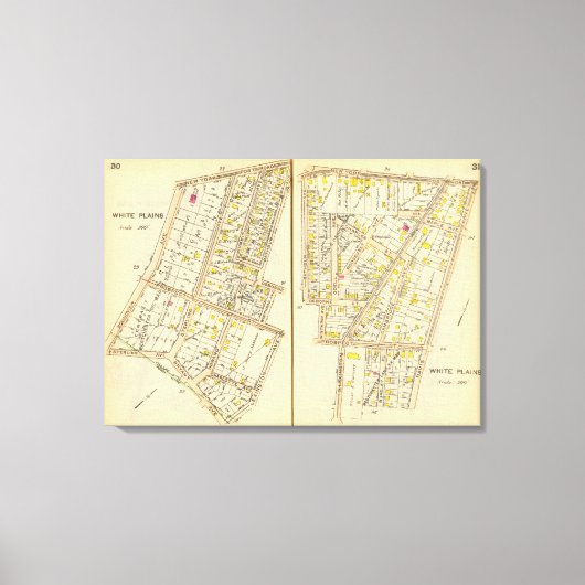 30-31白い平野 キャンバスプリント (正面)