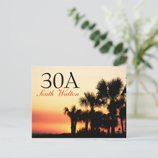 30A - サウスウォルトンのパームツリーに沈む夕日 ポストカード (スタンド正面)