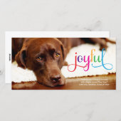 311うれしカラフルいペットのクリスマスカード シーズンカード (正面/裏面)