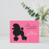 311ペッチズザプードルペットグルーミング ポストカード (スタンド正面)