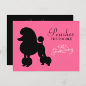 311ペッチズザプードルペットグルーミング ポストカード (正面/裏面)