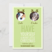 311モスグリーンペットアントラーホリデーフォトカード シーズンカード (正面)