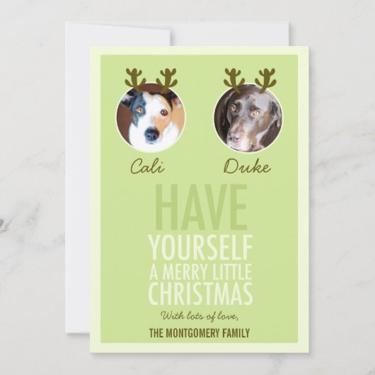 311モスグリーンペットアントラーホリデーフォトカード シーズンカード (正面)