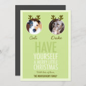 311モスグリーンペットアントラーホリデーフォトカード シーズンカード (正面/裏面)