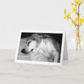 311リタイアロックスカード カード (黄色い花)