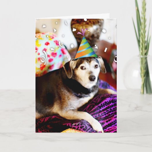 311退職した!私は興奮してただ覗くことができた カード (正面)