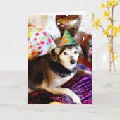 311退職した!私は興奮してただ覗くことができた カード (黄色い花)