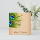 311-ピーコック羽毛-ヴィンテージ背景 招待状 (スタンド正面)