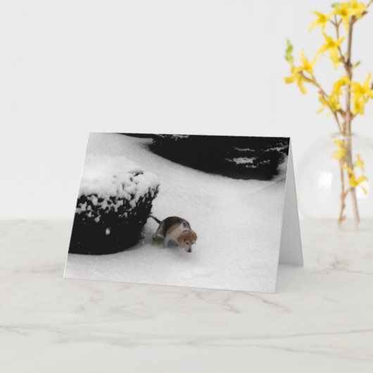 311 – 卒業祝い カード (黄色い花)