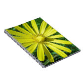 318.JPG ノートブック (右側)