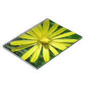 318.JPG ノートブック (左側)