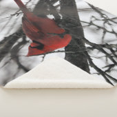 31.ミスター シェルパブランケット (3/4)