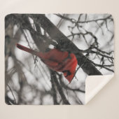 31.ミスター シェルパブランケット (正面(横))