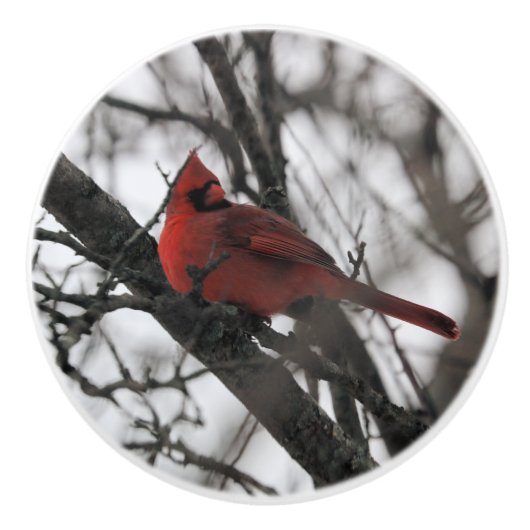 31.ミスター セラミックノブ (正面)