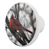 31.ミスター セラミックノブ (右)