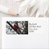 31.ミスター ラベル (インサイチュ)