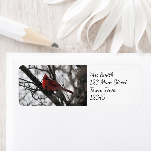 31.ミスター ラベル (インサイチュ)