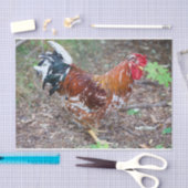 31.種（鶏を除く） 薄葉紙 (クラフト)